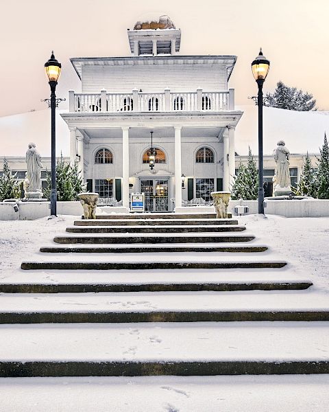 Snowy steps lead to a grand, white building with columns and lamps. Tall trees and ornate planters frame the path, creating a serene scene.