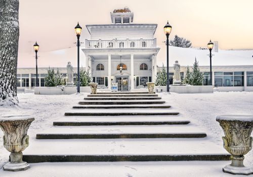 Snowy steps lead to a grand, white building with columns and lamps. Tall trees and ornate planters frame the path, creating a serene scene.